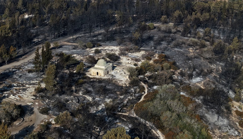 Kondisi hangus di lokasi hutan yang terbakar yang terjadi akibat panas ekstrem dan angin kencang di Latrun, Israel tengah, 2 Mei 2025. Foto: REUTERS/Ilan Rosenberg