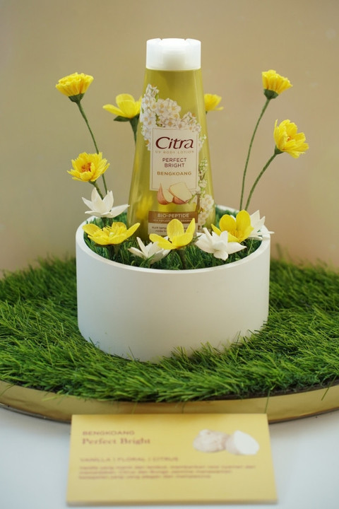 Launching Citra UV Body Lotion Baru. Foto: Citra