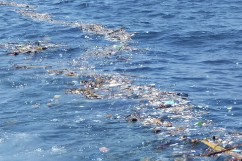 Tumpukan Sampah Selimuti Selat Bali, ancaman nyata bagi ekosistem dan Pariwisata Banyuwangi. Foto: Istimewa