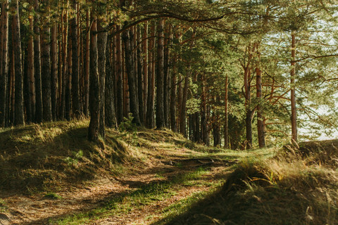 ilustrasi wisata pereng cilongok. sumber: unsplash/irina iriser