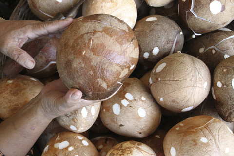 Pedagang menata kelapa kupas di pusat grosir Pasar Comboran, Malang, Jawa Timur, Rabu (16/4/2025). Foto: Ari Bowo Sucipto/ANTARA FOTO
