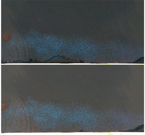 Bioluminesensi di atas Perairan Sulawesi Utara: dari Atas Kapal Riset (Dokumentasi Pribadi)