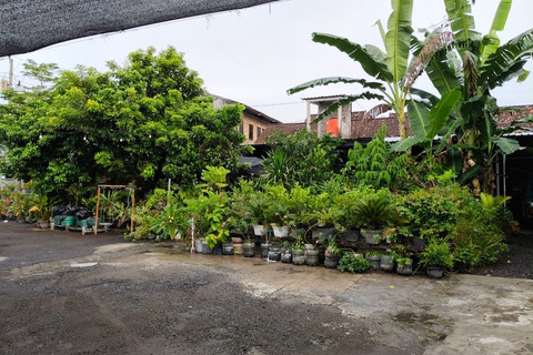 Properti milik keluarga Bryan Manov di Kabupaten Bantul, Senin (5/5/2025). Foto: Arfiansyah Panji Purnandaru/kumparan