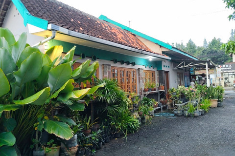 Tanah seluas 2.275 meter persegi beserta rumah, kos 30 kamar, dan tempat usaha tanaman hias milik keluarga Bryan Manov, korban mafia tanah di Tamantirto, Bantul, Senin (5/5/2025). Foto: Arfiansyah Panji Purnandaru/kumparan