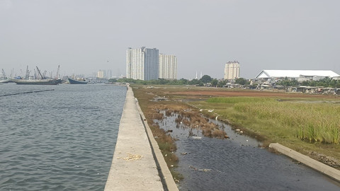 Kawasan laut di balik tanggul setinggi 4 meter. Terlihat Masjid 'Tenggelam' Waladuna, Muara Baru, Penjaringan, Jakarta Utara, Selasa (6/5/2025). Foto: Thomas Bosco/kumparan