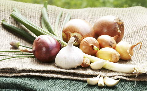 Ilustrasi bawang merah, bawang putih, dan daun bawang. Foto: Johanna Muehlbauer/Shutterstock