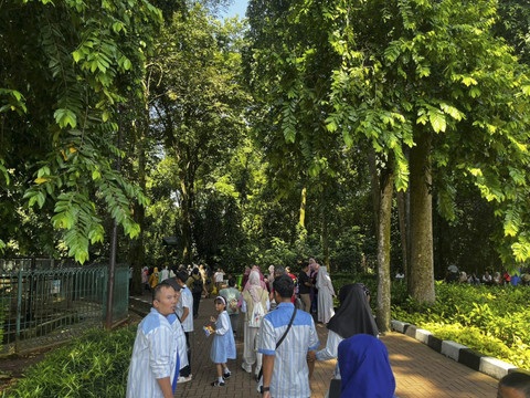 Suasana Kebun Binatang Ragunan, Jakarta Selatan, Minggu (11/5/2025). Foto: Rayyan Farhansyah/kumparan