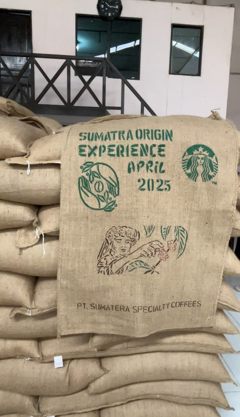 Biji kopi Arabika yang siap dikirim ke tempat roastery Starbucks di berbagai belahan dunia. Foto: Adhie Ichsan/kumparan