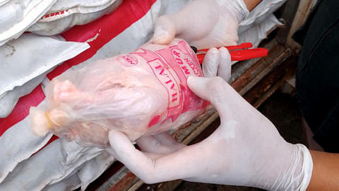 Daging ayam yang ditemukan sudah membusuk oleh Balai Karantina Hewan, Ikan dan Tumbuhan Sulawesi Utara di Pelabuhan Tahuna. Sebanyak 15 ton daging ayam busuk itu kemudian dimusnahkan. (foto: dokumen balai karantina)
