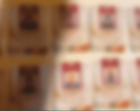 Arab Saudi tangkap 2 WNI ditangkap yang menampung 23 calon haji ilegal, 12 Mei 2025. Mereka sediakan kartu ID Card palsu. Foto: Dok. security_gov