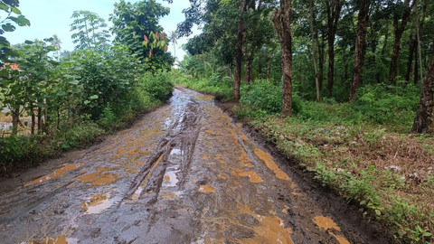Jalan menuju lokasi pemusnahan amunisi kadaluarsa, di Jalan Miramareu, Desa Sagara, Kecamatan Cibalong, Kabupaten Garut, Jawa Barat, Selasa (13/5/2025). Foto: Robby Bouceu/kumparan