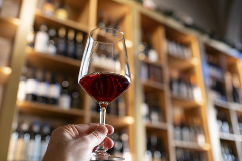 Ilustrasi minum wine. Foto: Shutterstock