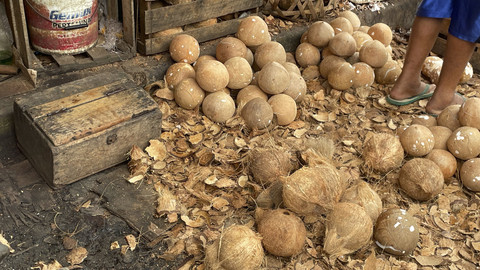 Dagangan kelapa bulat dan kelapa parut di Pasar Sore Kebayoran, Jakarta Selatan, Selasa (13/5/2025). Foto: Najma Ramadhanya/kumparan