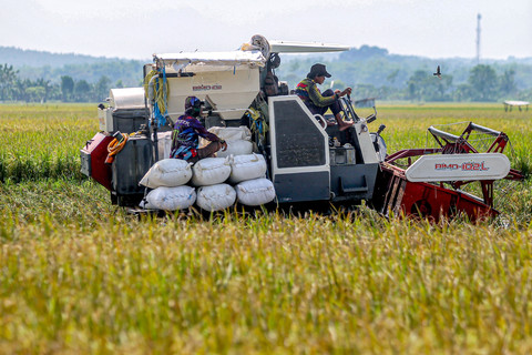 Petani memanen padi menggunakan mesin pertanian di Patianrowo, Nganjuk, Jawa Timur, Kamis (15/5/2025). Foto: ANTARA FOTO/Muhammad Mada