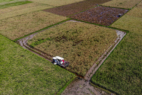 Foto udara petani memanen padi menggunakan mesin pertanian di Patianrowo, Nganjuk, Jawa Timur, Kamis (15/5/2025). Foto: ANTARA FOTO/Muhammad Mada