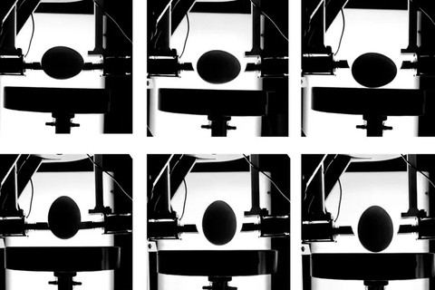 Peneliti MIT menemukan metode penyimpanan telur. Foto: Massachusetts Institute of Technology (MIT)