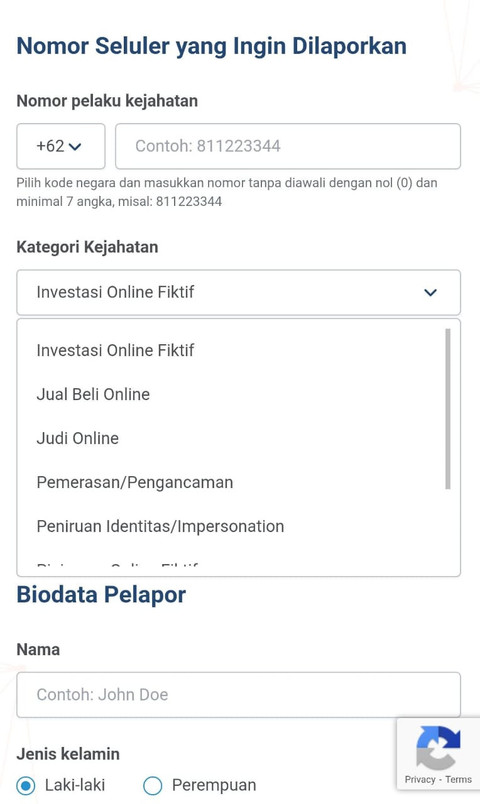 Tampilan formulir Nomor Seluler yang Ingin Dilaporkan dalam website aduannomor.id Komdigi. Foto: Alya Zahra/kumparan 