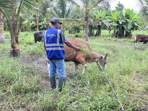 Persiapan kurban di Maluku bersama Human Initiative. Foto: Nabilla Fatiara/kumparan