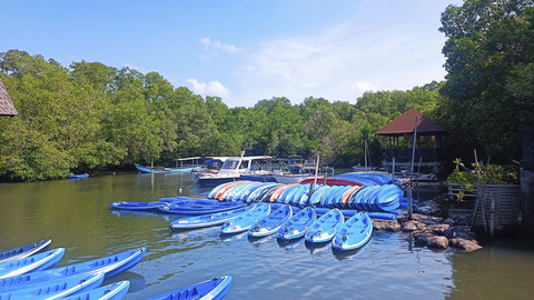 Suasana Ekowisata Mangrove Batu Lumbang. Foto: Denita BR Matondang/kumparan
