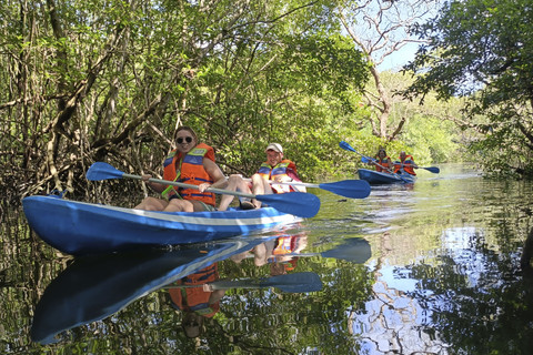 Turis asing menyusuri kawasan hutan mangrove. Foto: Dok. Ekowisata Mangrove Batu Lumbang