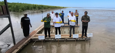 Menteri LHK saat mengunjungi lokasi konservasi mangrove di Mempawah. Foto: Muhammad Zain/Hi!Pontianak
