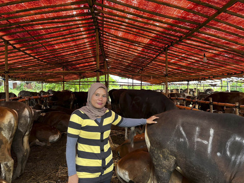 Pedagang sapi kurban di lahan BMKG, Pondok Betung, Tangerang Selatan, Banten, Minggu (25/5/2025). Foto: Rayyan Farhansyah/kumparan