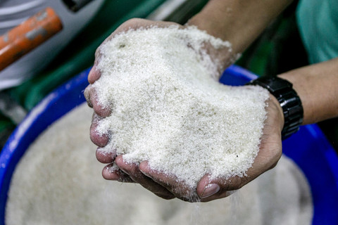 Karyawan menunjukan gula yang produksi di Pabrik Gula (PG) Mojo. Foto: Mohammad Ayudha/ANTARA FOTO