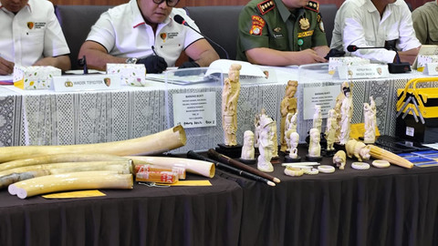 Pers rilis kasus penjualan gading gajah di Bareskrim Polri pada Senin (26/5/2025).  Foto: Rachmadi Rasyad/kumparan