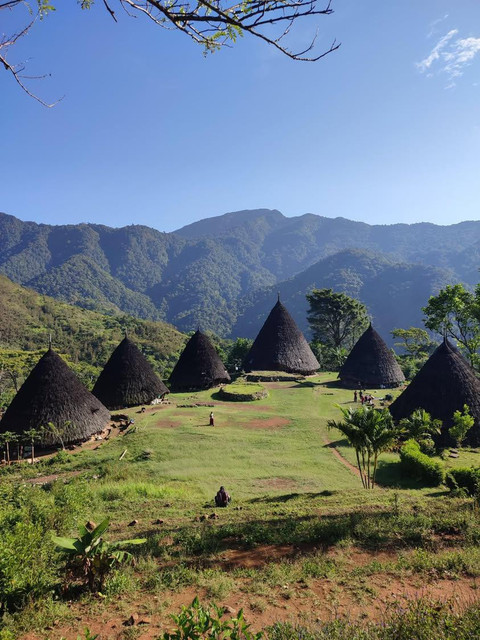 "Pemandangan rumah adat Mbaru Niang di desa Wae Rebo, Flores".Sumber Dokumentasi Pribadi.2024