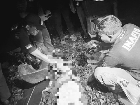 Wanita ditemukan tewas diperkebunan karet di Kecamatan Natar, Lampung Selatan. | Foto: Dok Istimewa