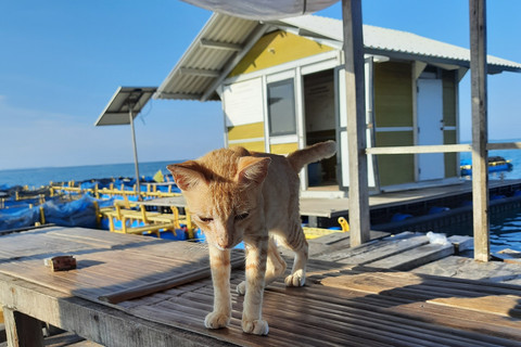 Pulau Kucing di Kepulauan Seribu. Foto: Shutterstock
