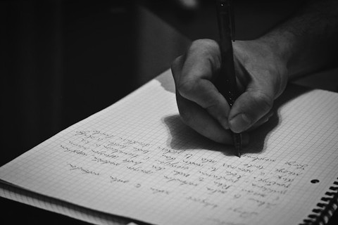 unsplash/nedim