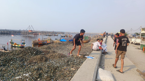Warga beraktivitas di tumpukan limbah kulit kerang hijau yang menggunung melebihi tanggul laut setinggi 5 meter di kawasan pesisir Cilincing, Jakarta Utara, Rabu (28/5). Foto: Thomas Bosco/kumparan