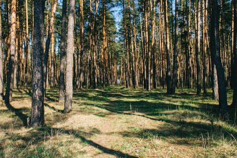 Unsplash/Gleb Belyakov