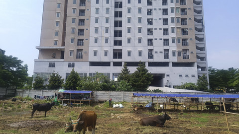 Penampakan lahan milik Perumnas yang diprotes penghuni Apartemen Sentraland Cengkareng karena pembakaran sampah, Jakbar, Jumat (30/5/2025). Foto: Thomas Bosco/kumparan