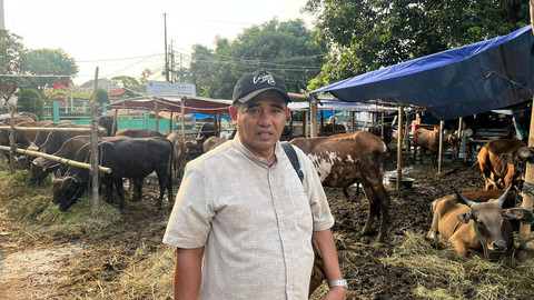 Ueba Rio penjual sapi asli Bima, NTB di Pasar Minggu, Jakarta Selatan, Jumat (30/5). Foto: Haya Syahira/kumparan