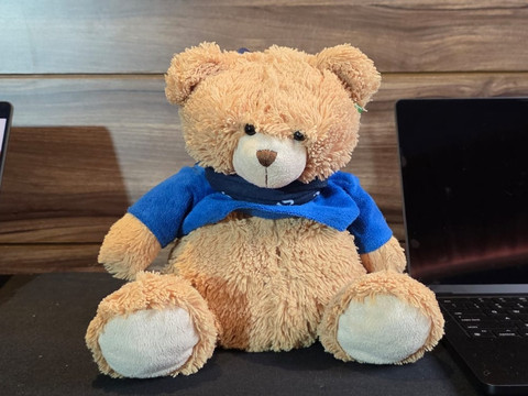 Boneka interaktif PawPal buatan tim Rarevolution dari kampus Binus University Alam Sutera, jadi tim terbaik kompetisi talenta digital Samsung Innovation Campus Batch 6 2024/2025. Foto: Aditya Panji/kumparan