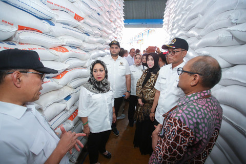 Komisi IV DPR RI meninjau cadangan beras pemerintah. Foto: Komisi IV DPR