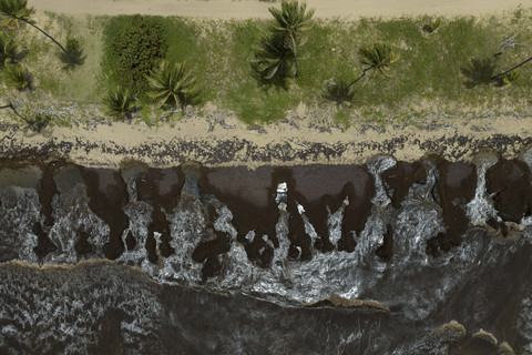 Pemandangan drone menunjukkan pantai yang dipenuhi rumput laut sargassum yang terdampar di pantai selama musimnya dari bulan Maret hingga Oktober, di Yabucoa, Puerto Rico, Senin (2/6/2025). Foto: Ricardo Arduengo/REUTERS
