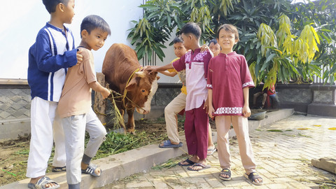 Ilustrasi Anak dengan Hewan Kurban. Foto: Shutterstock