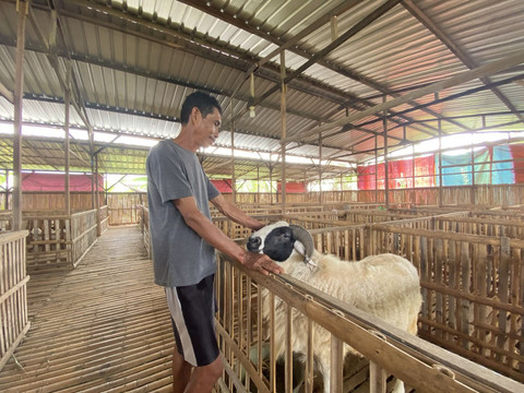 Resti Damayanti/Pandangan Jogja