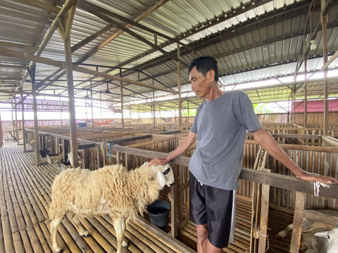 Resti Damayanti/Pandangan Jogja