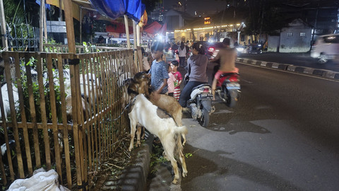Potret lapak hewan kurban yang berdiri di atas trotoar jelang Idul Adha di Jalan KS Tubun, Petamburan, Tanah Abang, Jakarta Pusat, Rabu (4/6/2025). Foto: Thomas Bosco/kumparan
