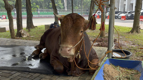 Abid Raihan/kumparan