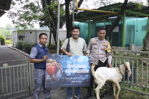 The Park Pejaten membagikan 10 ekor kambing menjelang Idul Adha kepada warga sekitar pada Rabu (4/6/2025). Foto: Dok. Istimewa