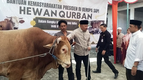 Penyerahan hewan kurban dari Presiden Prabowo Subianto untuk Kota Manado.