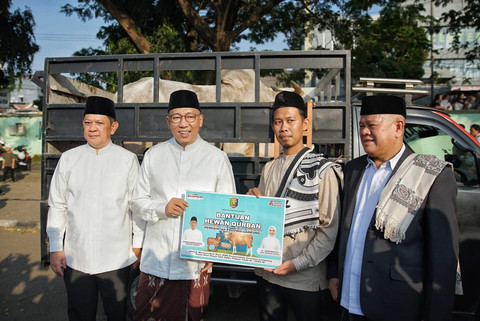 Dok. Adpim