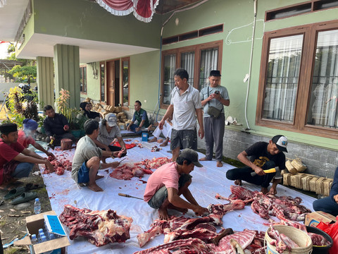Eka Febriani / Lampung Geh