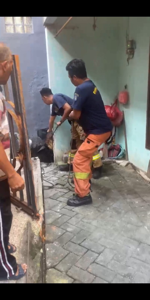 Petugas berusaha mengevakuasi seekor sapi kurban yang kabur dan masuk ke saluran air di Jalan Semolowaru Utara I No 139, Surabaya, Jumat (6/6/2025). Foto: Dok. DPKP Surabaya