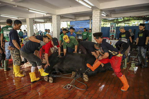 Sejumlah pekerja menyembelih seekor sapi di Masjid Istiqlal, Jakarta, Sabtu (7/6/2025). Foto: Iqbal Firdaus/kumparan